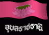 Brugers avatar